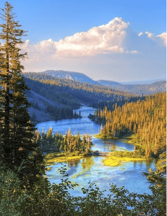 James Dale Beck Obituary